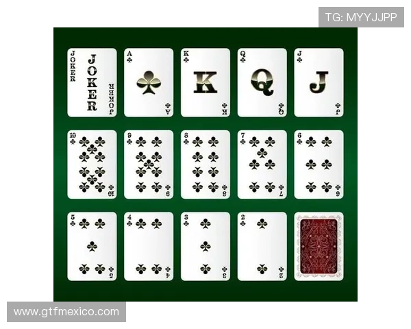 全面解析牌九牌组搭配技巧：打造最强牌组的实用指南